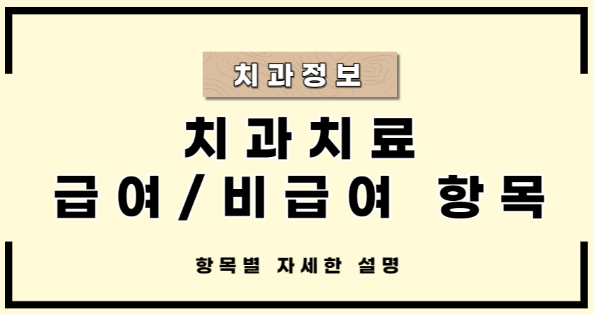 치과 급여 비급여